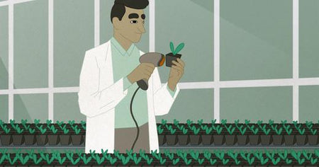 Legal Cannabis Industry Set To Bring In 92$ Billion in 2021