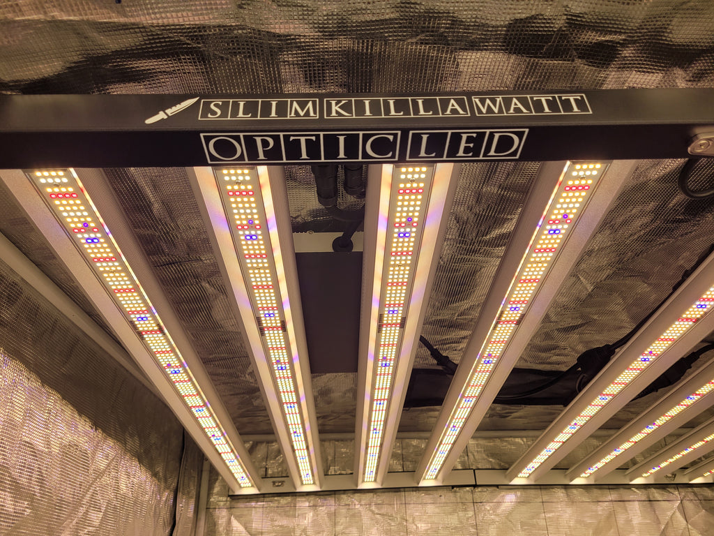 Slim Killa Watt 1000 Bloom - Dimmable LED Grow Light - January 1st