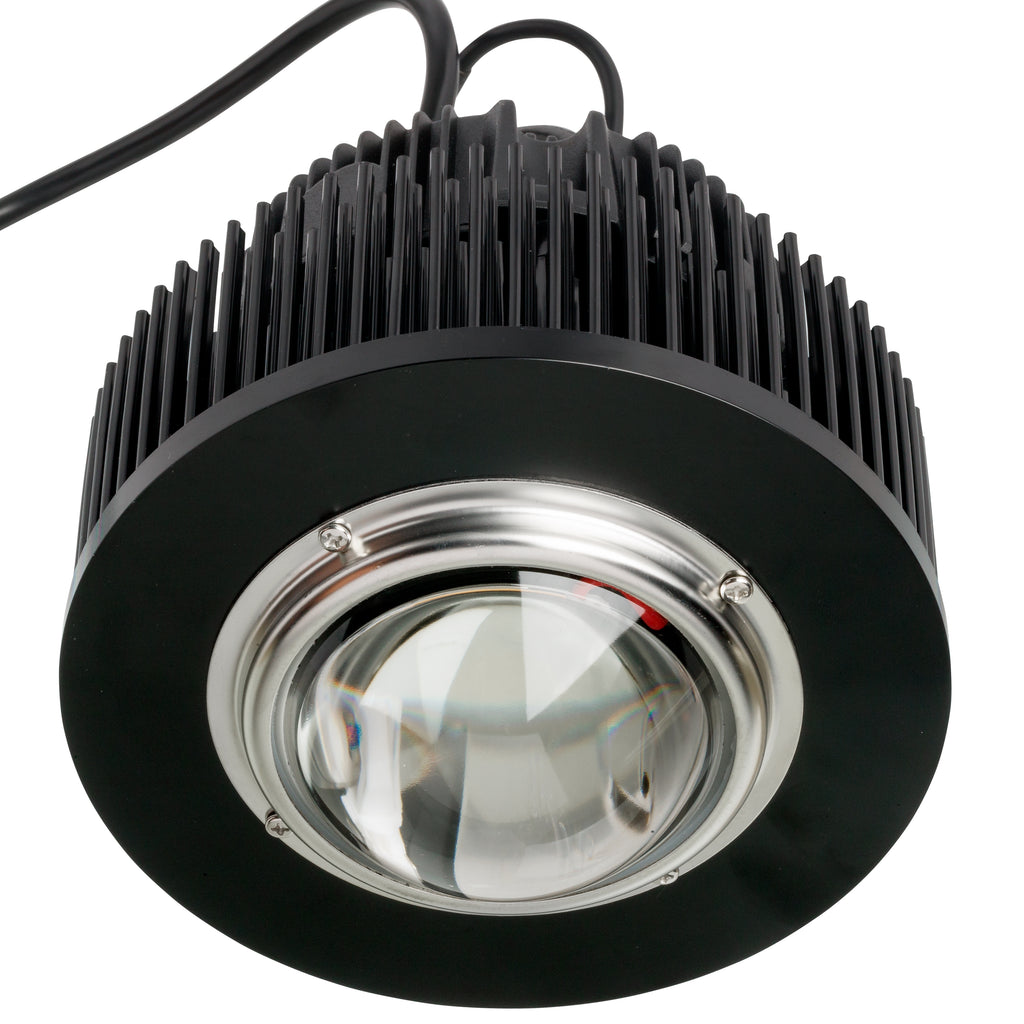 Lumière de plante LED ultra-mince 100W, lumière de croissance COB