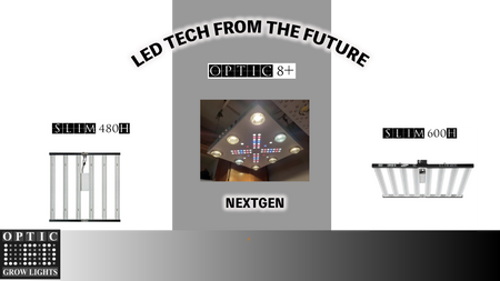 What Sets Apart Optic Led From The Rest