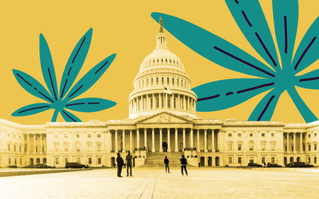 Companies Start To Eye Up USA For Legalization