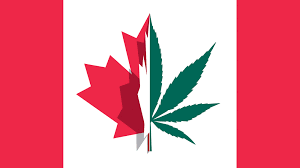 Canada Cannabis Sales Double In 2020 But Will It Continue In 2021