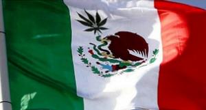 Mexico Sees Legalization As A Possibility In 2021