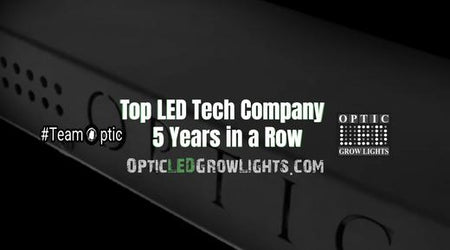 TOP LED Tech Company 5 Years in Row!