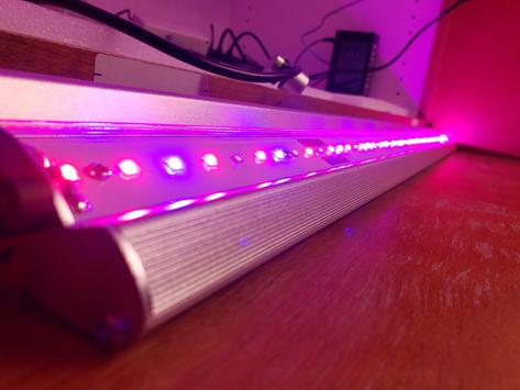 Slim 100 Bloom Enhancer - 100 watt Dimmable LED Grow Light (UV / IR)